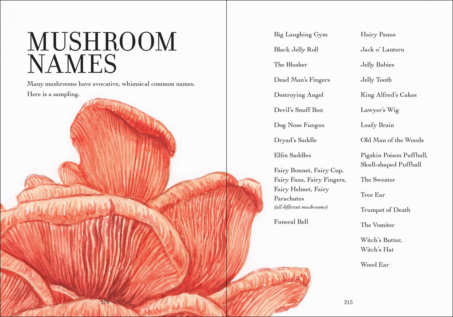 Wonder of Mushrooms