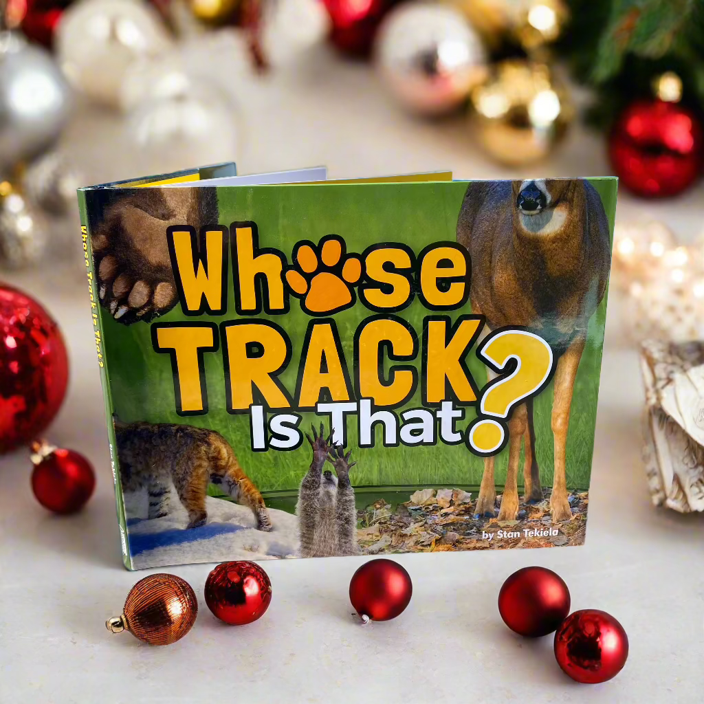 Whose Track Is That?
