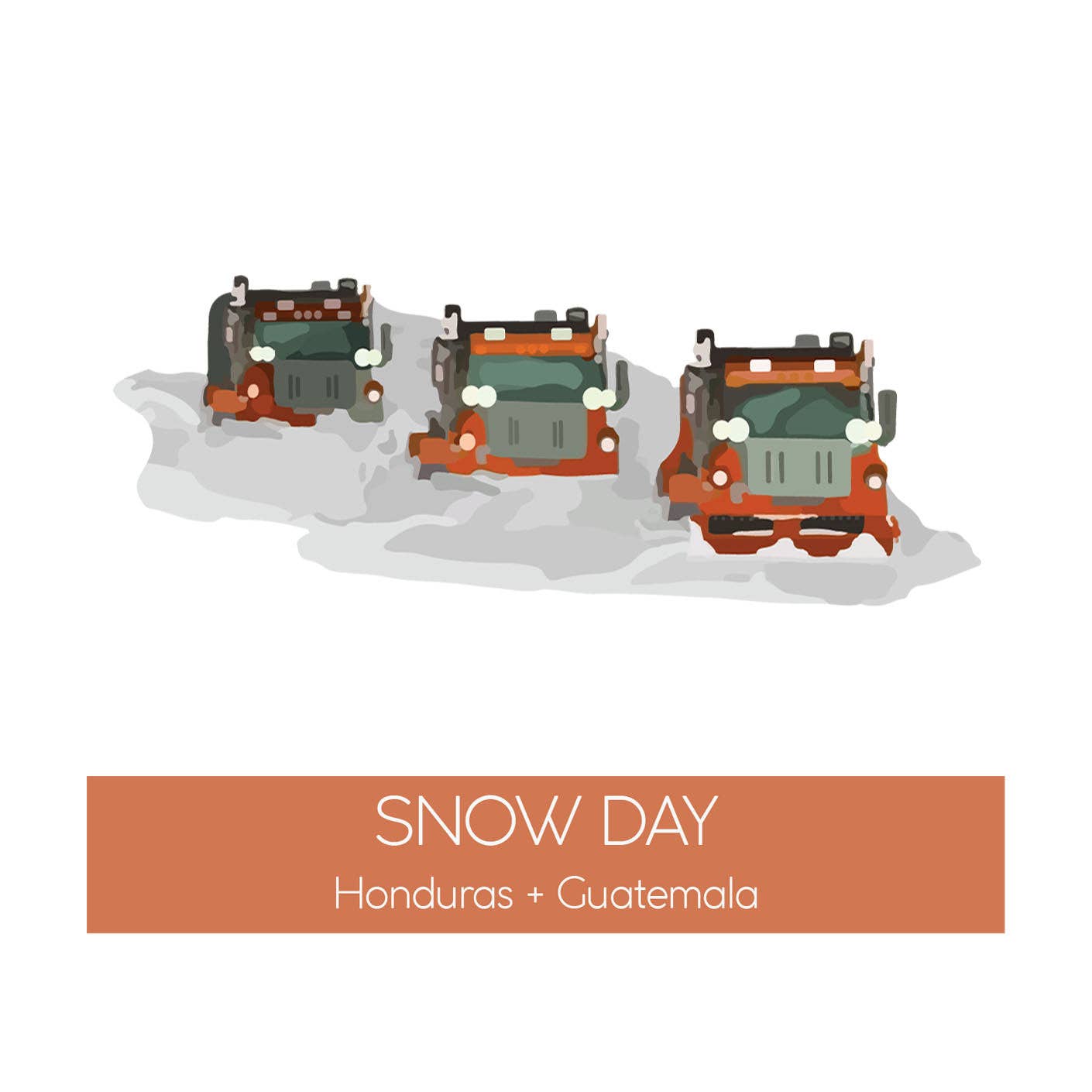 Snow Day Coffee - Ground / 12 oz