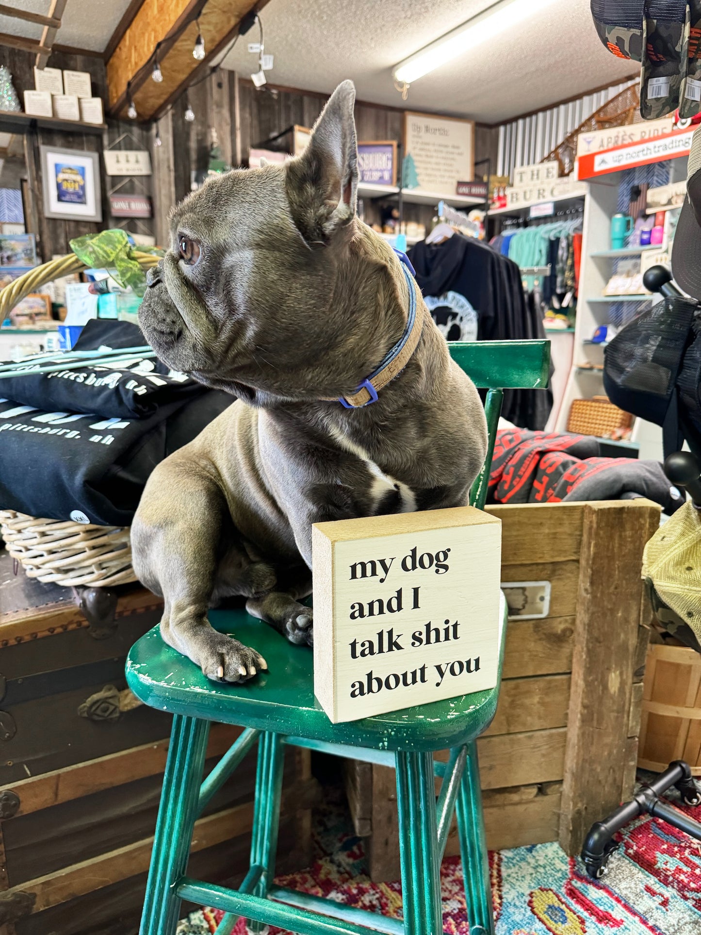 My Dog and I Talk Shit Wooden Block Sign