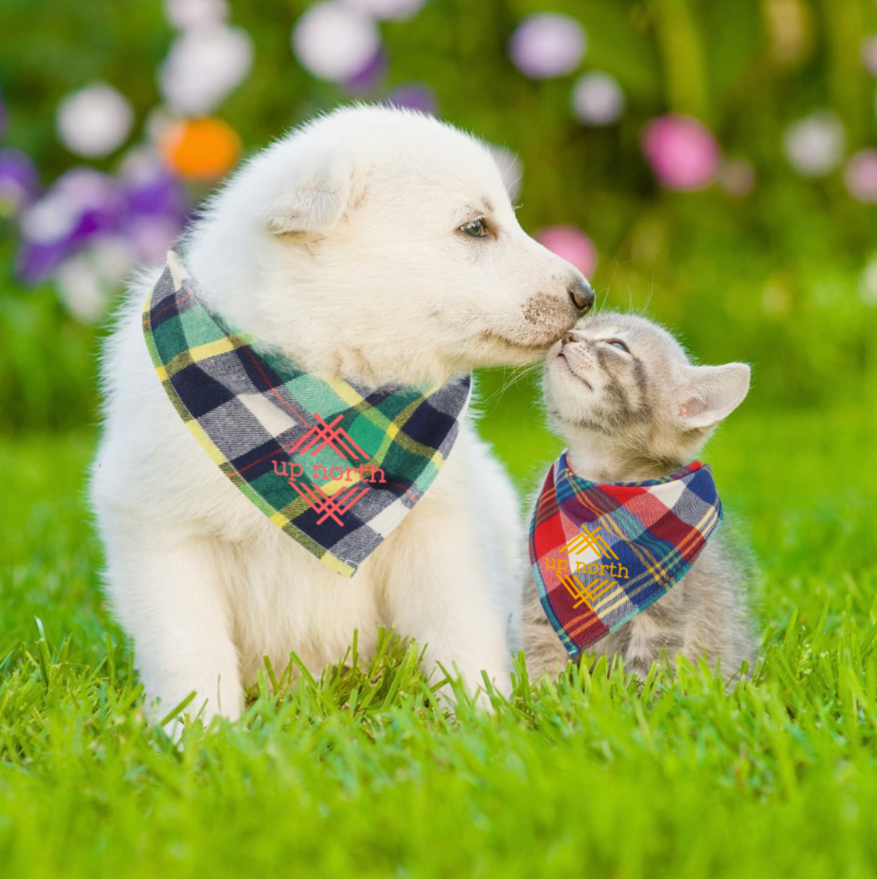 Small Dog - Plaid Logo Bandana