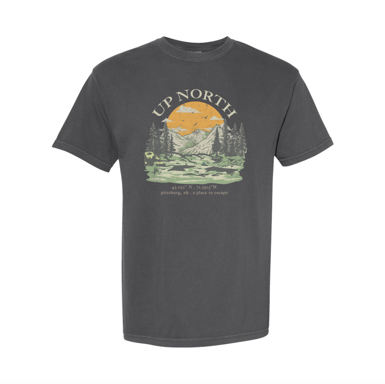 Up North Vintage Landscape Tee - Washed Grey