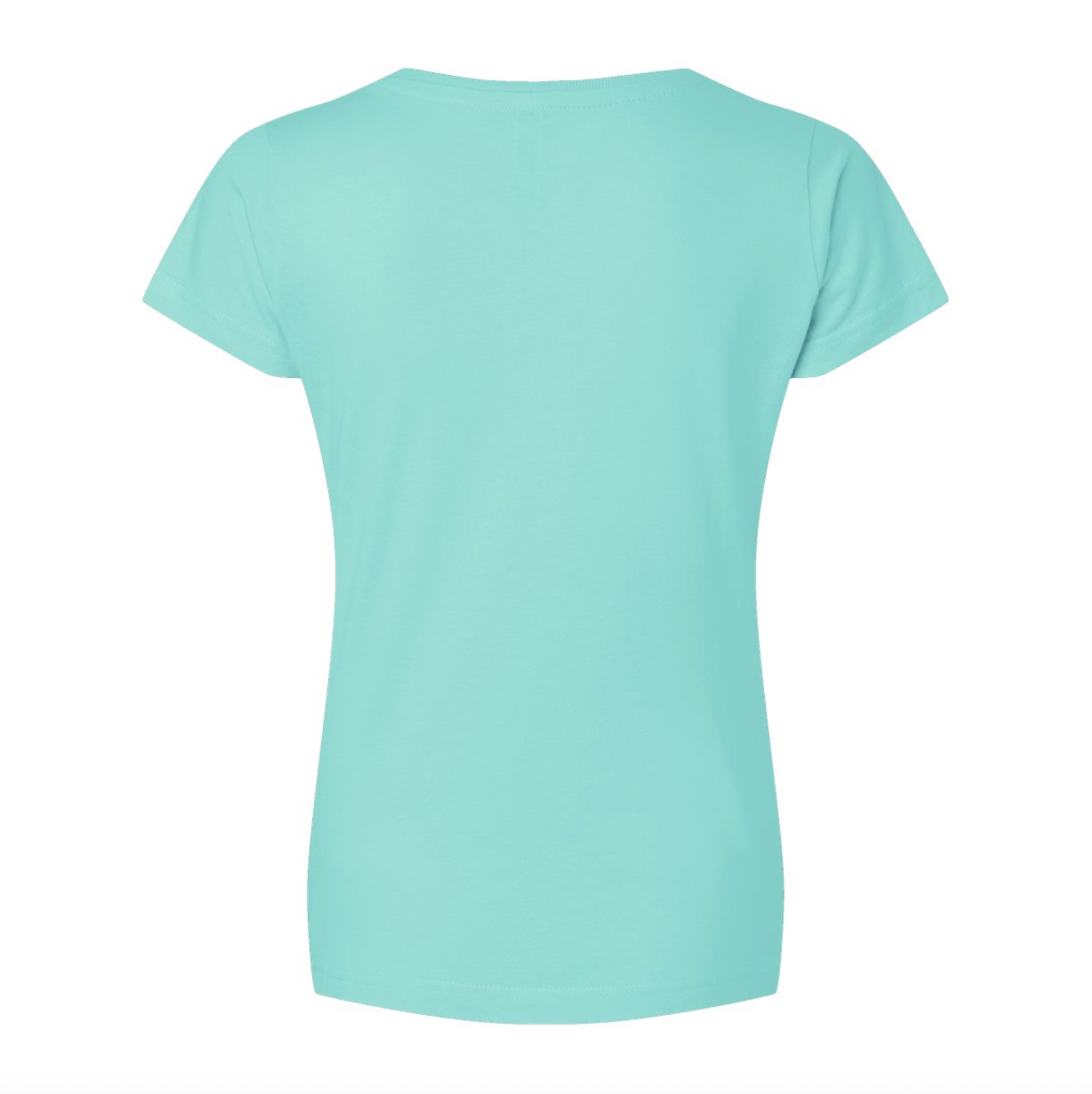 Ladies V-Neck Tee, NH script - Minty Teal