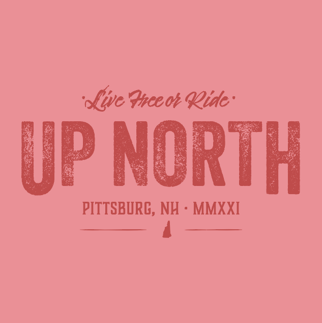 Vintage Up North Hoodie - Pink