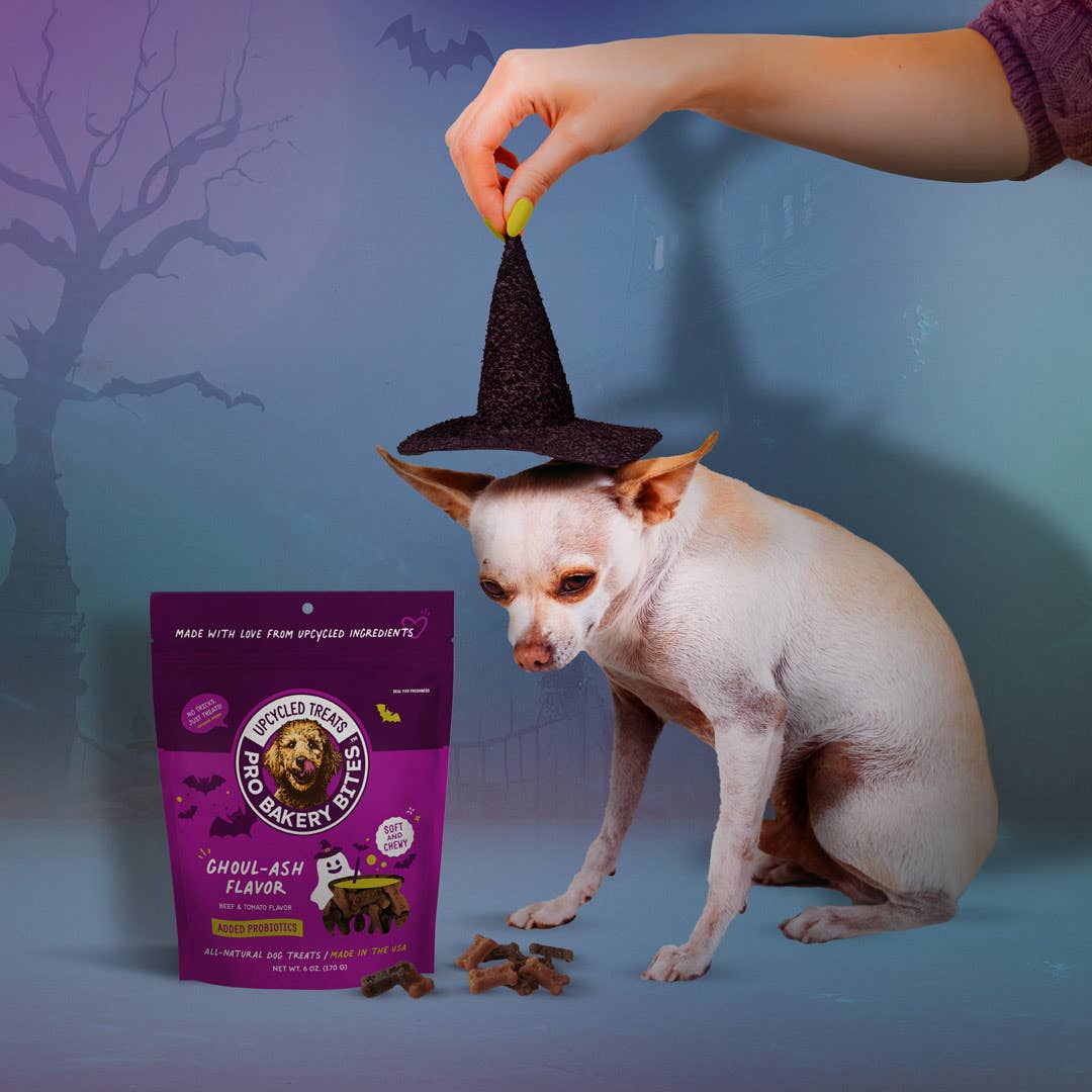 Halloween Soft & Chewy Dog Treats