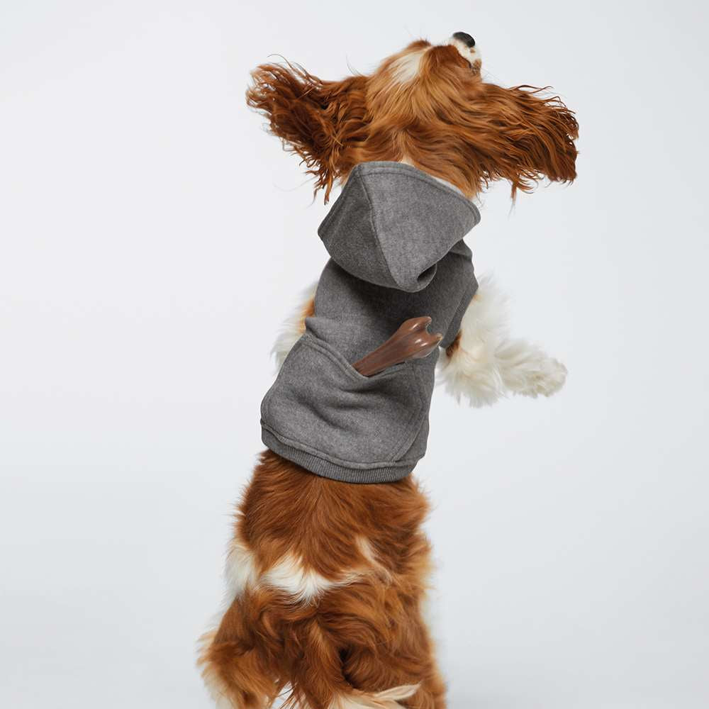 Up North Dog Hoodie