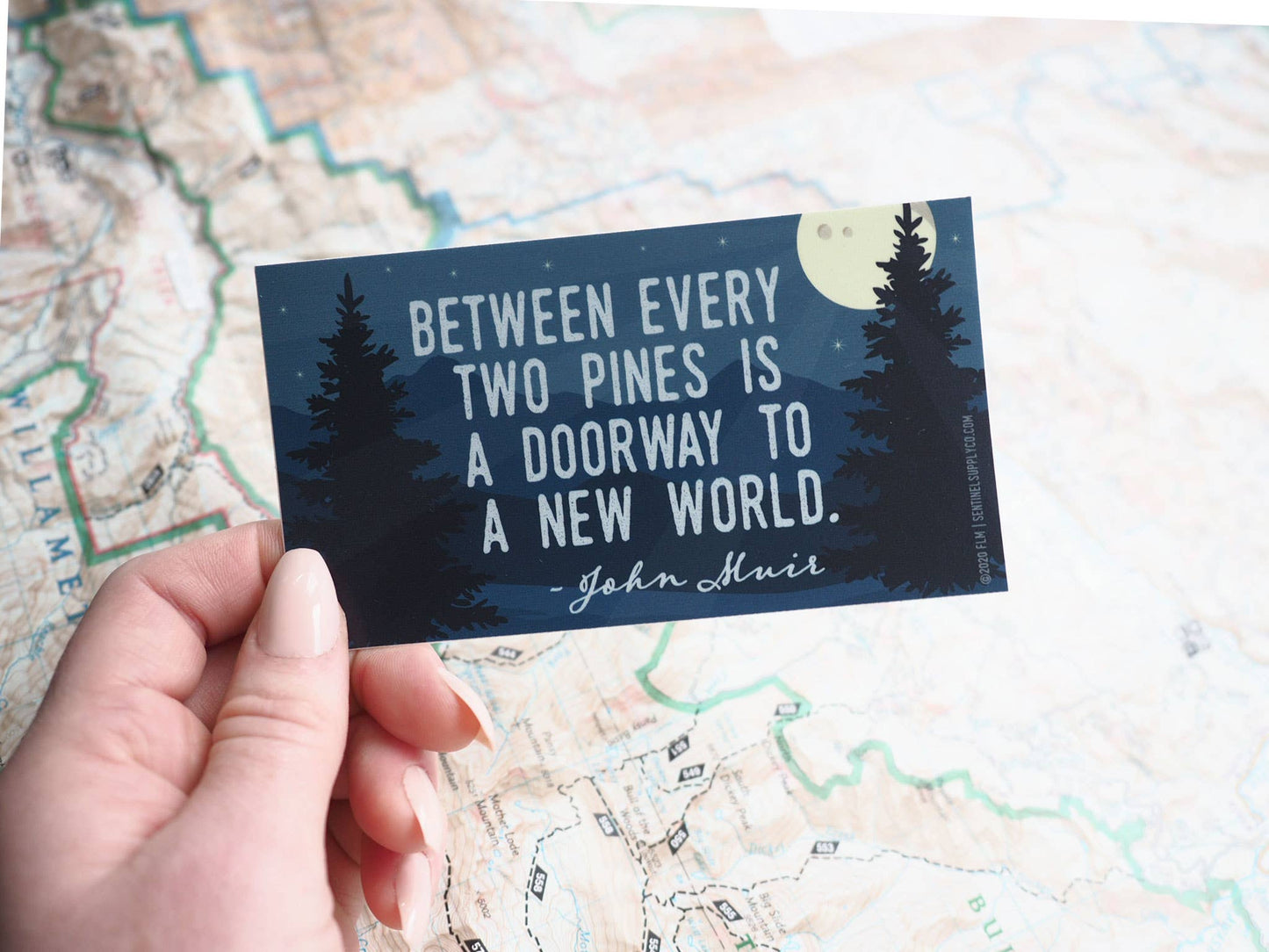 John Muir Pine Tree Quote Sticker