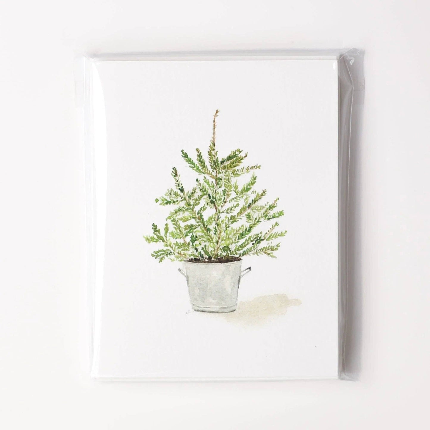 Evergreen Christmas assorted notecard set