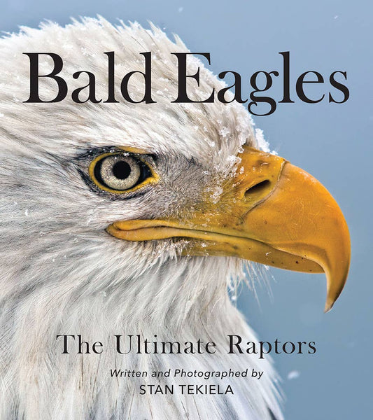 Bald Eagles: The Ulitmate Raptors