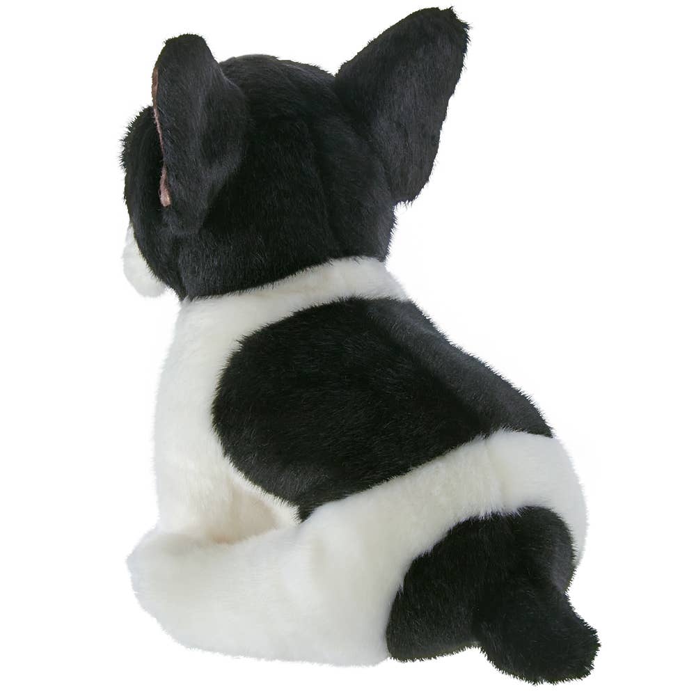 Oliver the French Bulldog - Plush