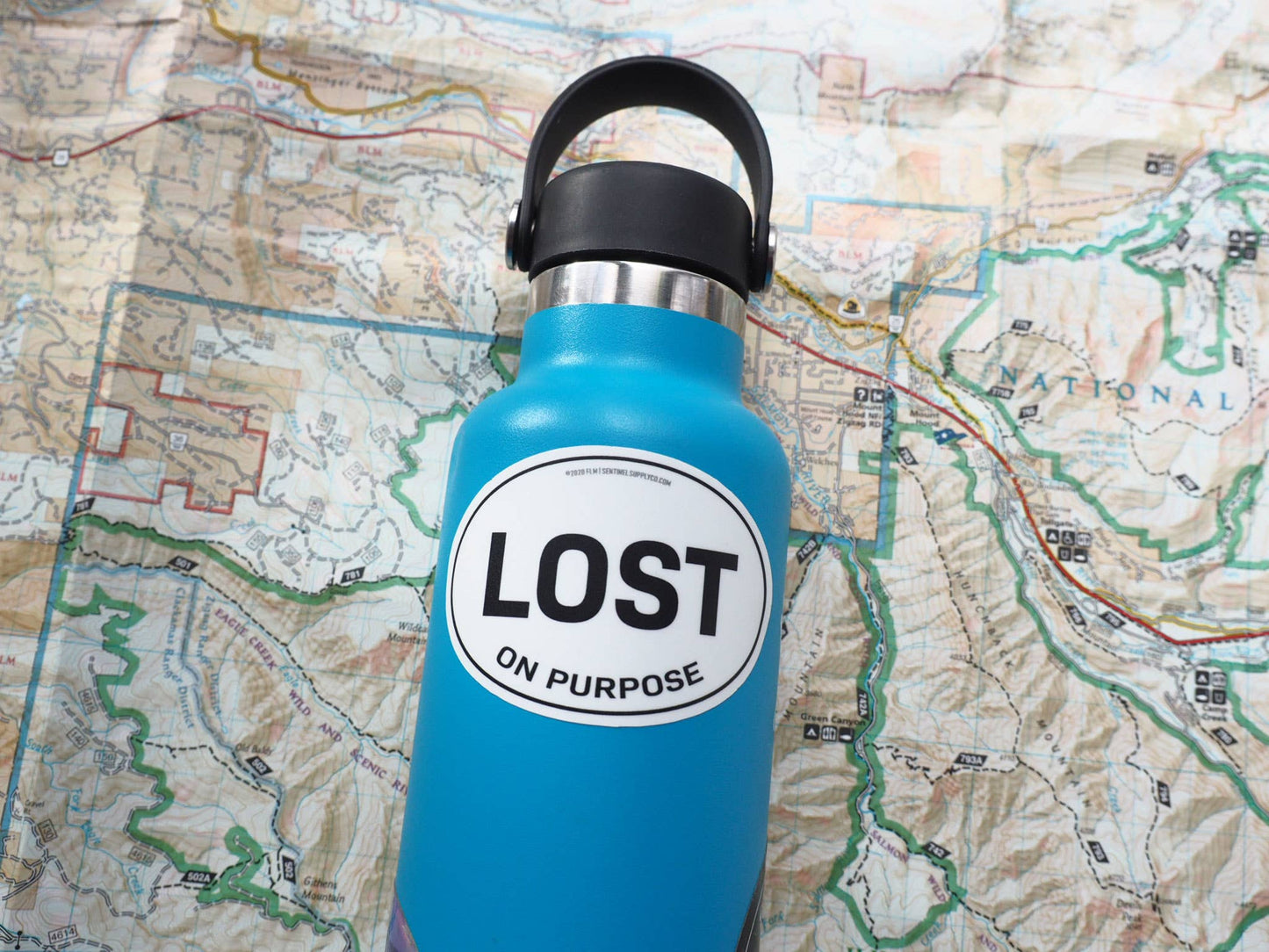 Lost on Purpose Oval Bumper Sticker, Outdoor Adventure Decal