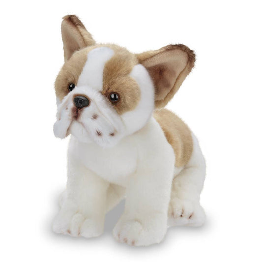 Frenchie the French Bulldog