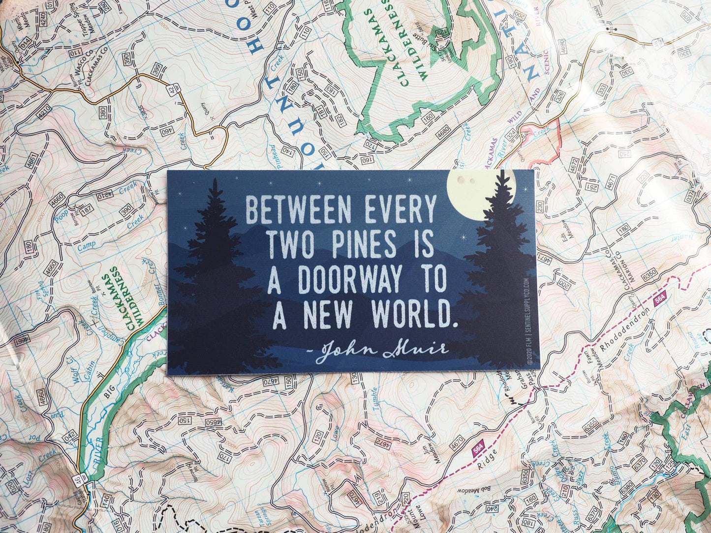 John Muir Pine Tree Quote Sticker