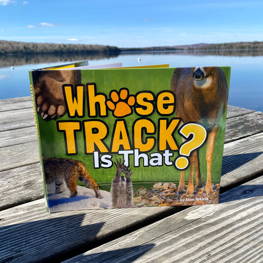 Whose Track Is That?