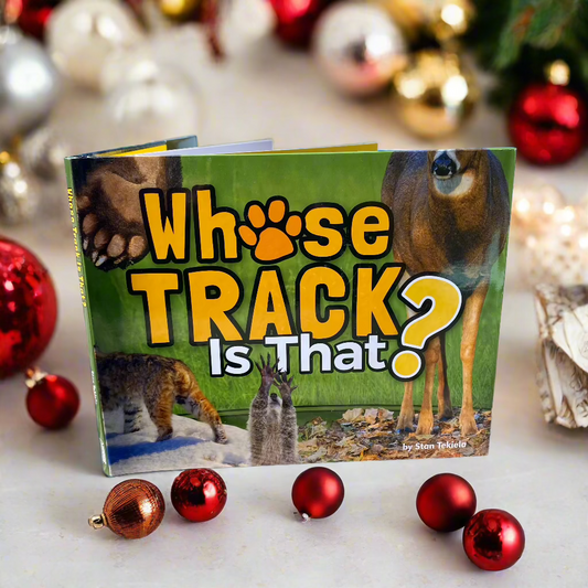 Whose Track Is That?