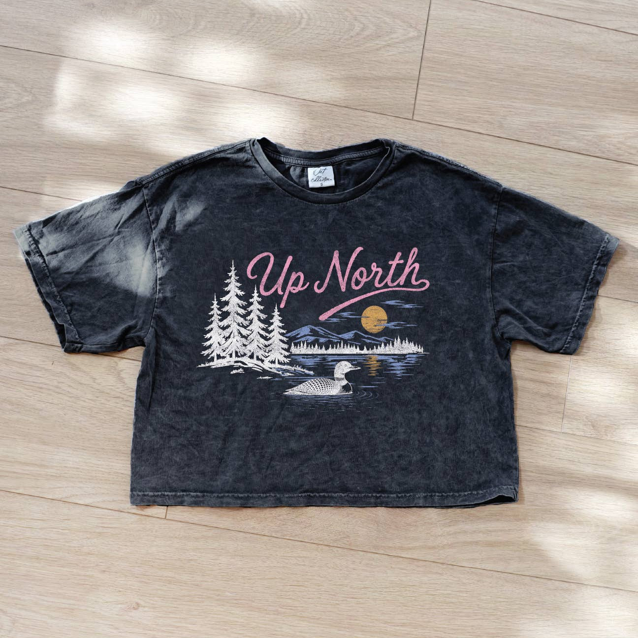 UP NORTH Cropped Mineral Graphic Top
