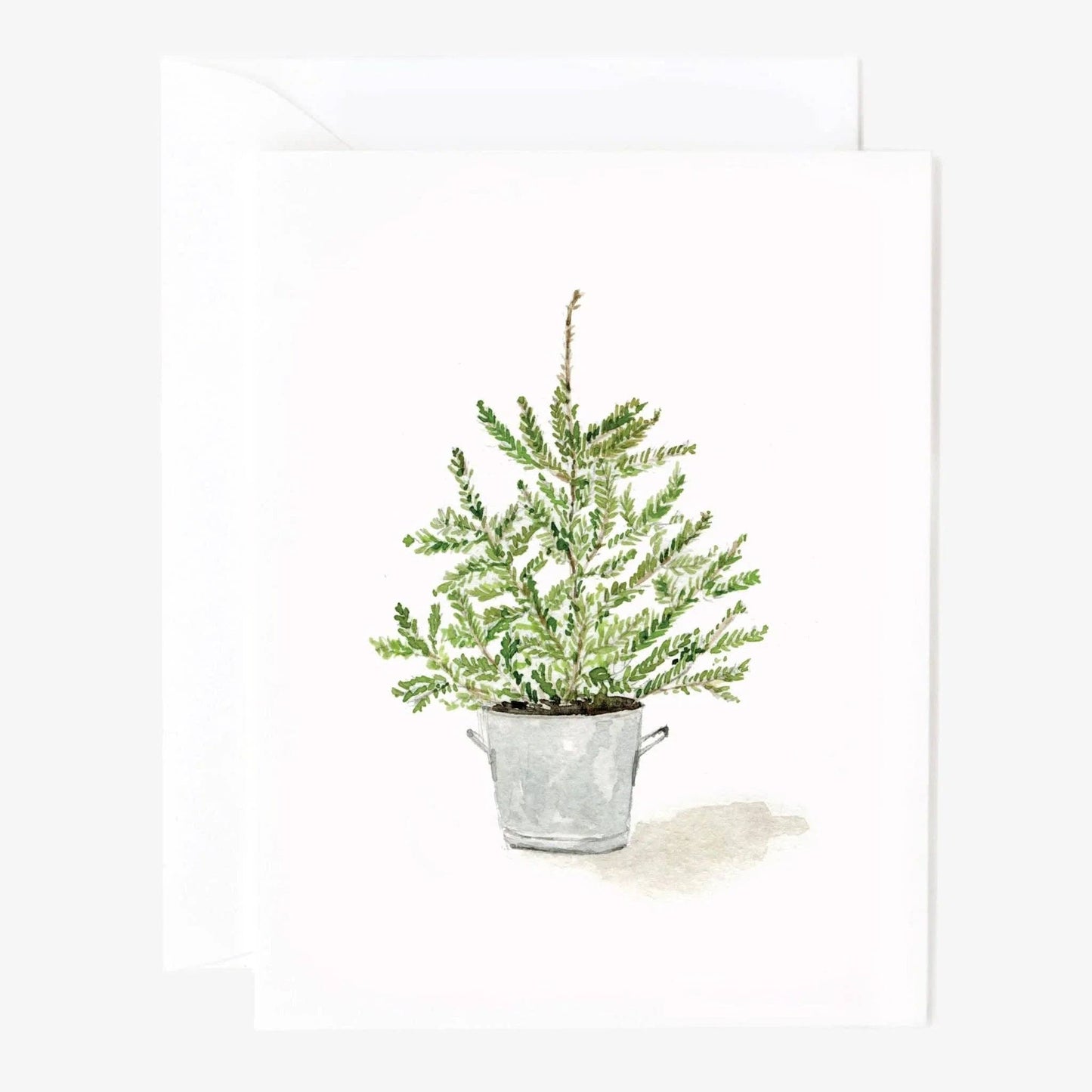 Evergreen Christmas assorted notecard set