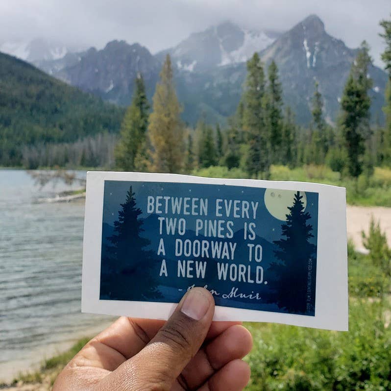 John Muir Pine Tree Quote Sticker