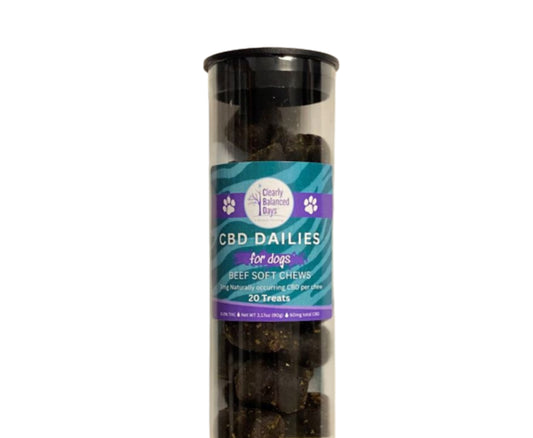 CBD Dailies Beef Soft Chews for Dogs 20ct