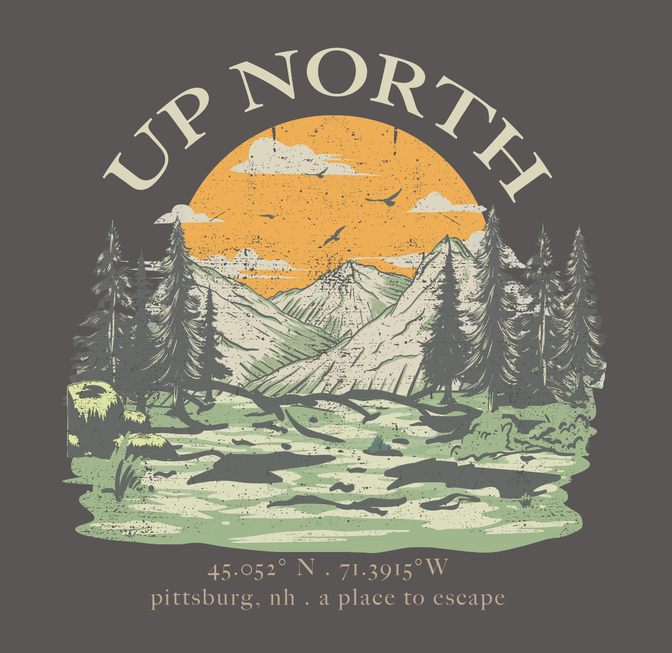 Up North Nature - Washed Graphic Tee