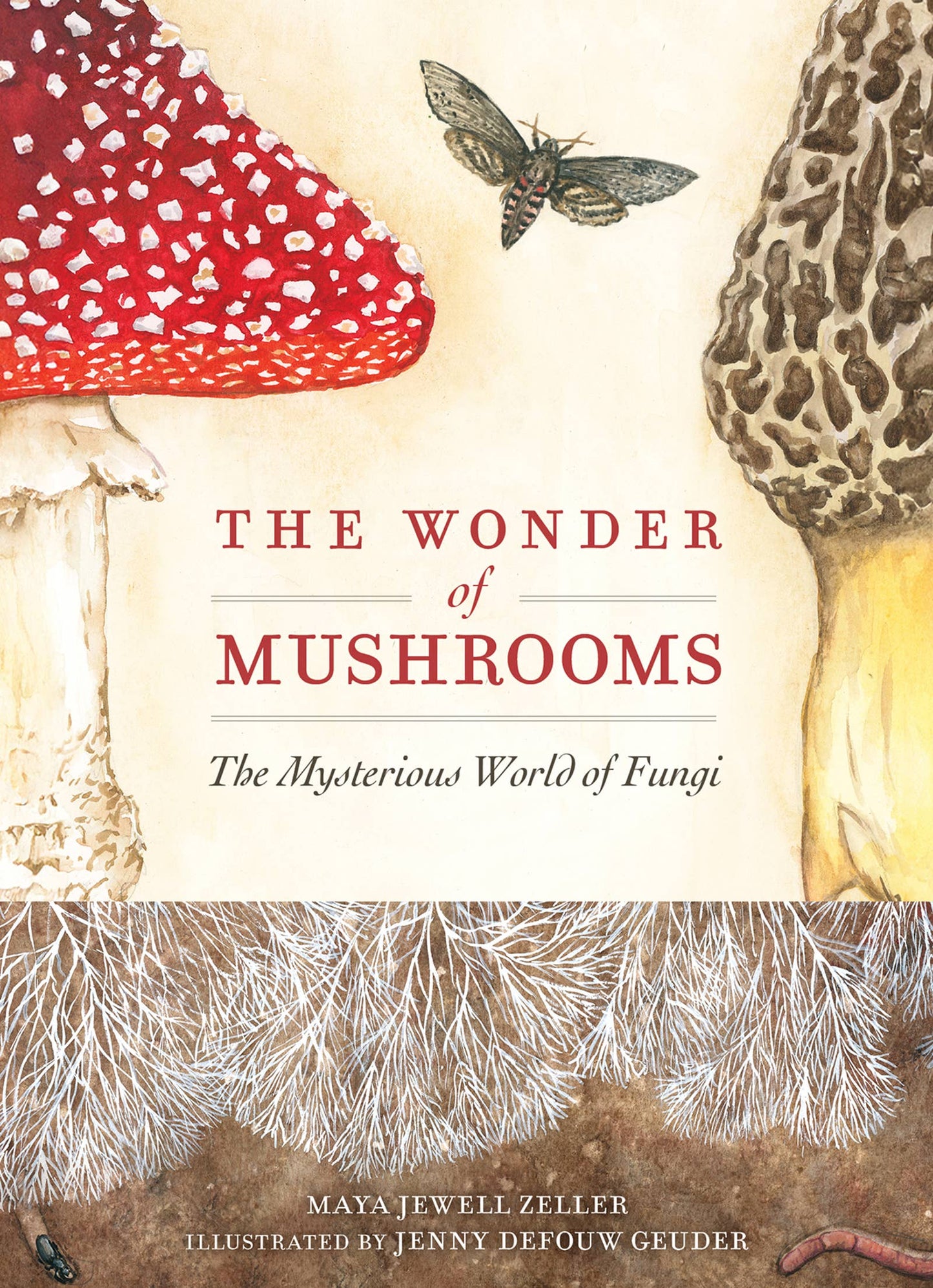 Wonder of Mushrooms