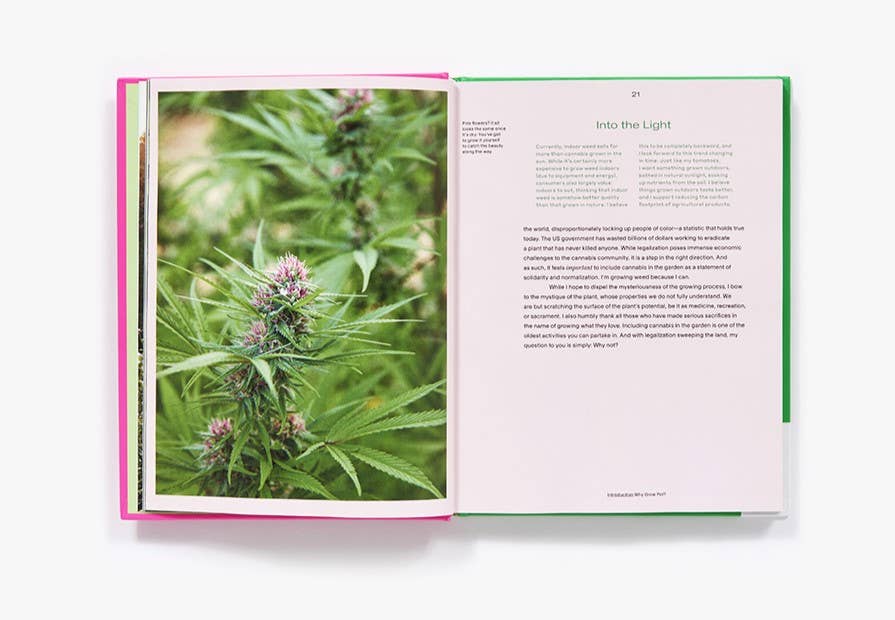 Growing Weed in the Garden: A No-Fuss, Seed-to-Stash Guide Book