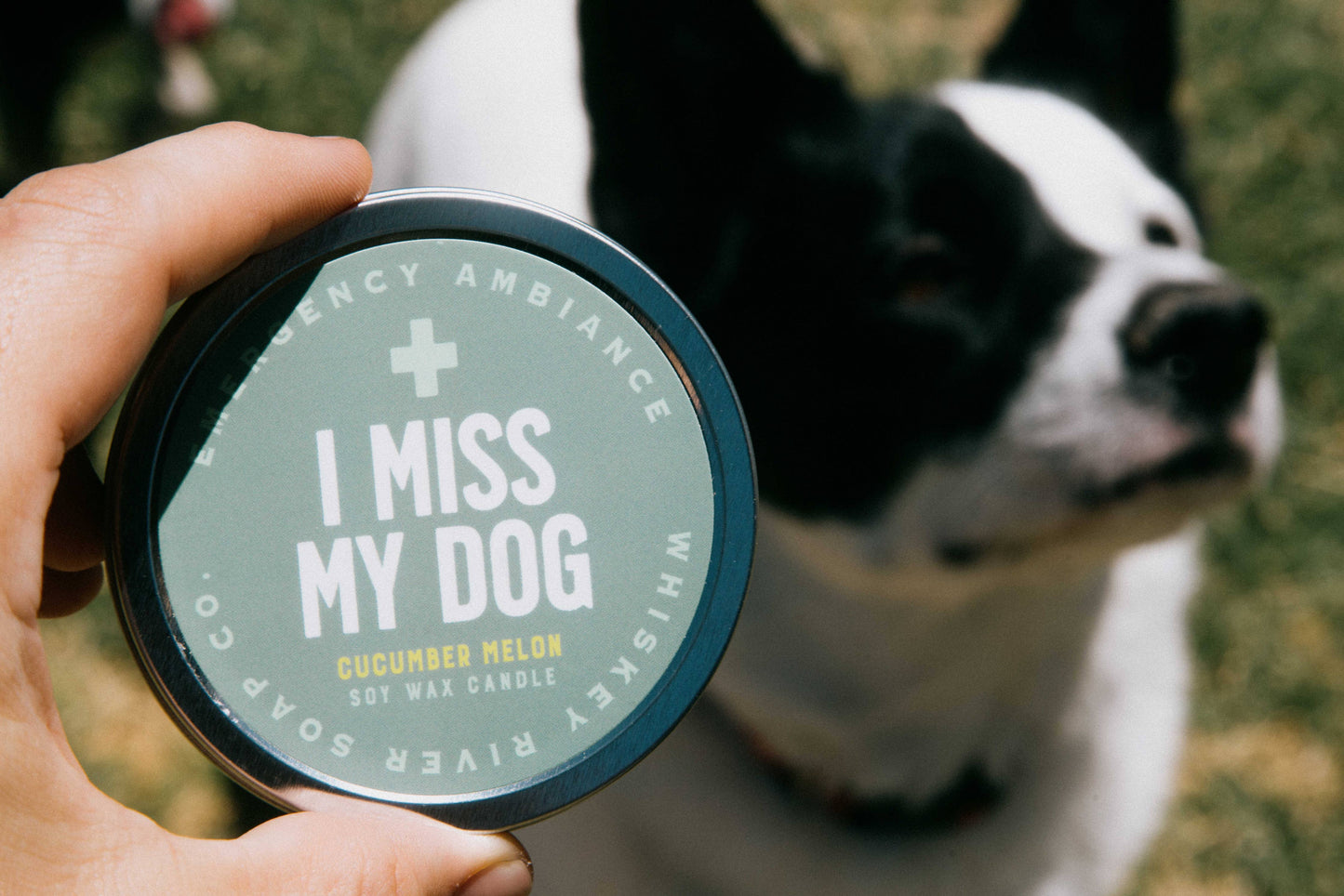 I Miss My Dog Emergency Ambiance Travel Tin | Funny Candle