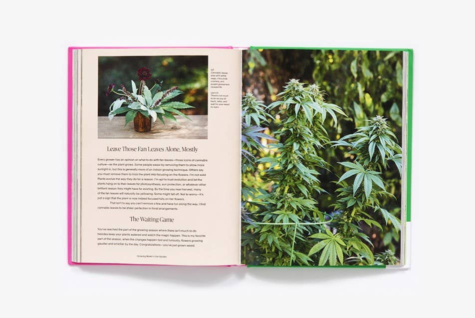 Growing Weed in the Garden: A No-Fuss, Seed-to-Stash Guide Book