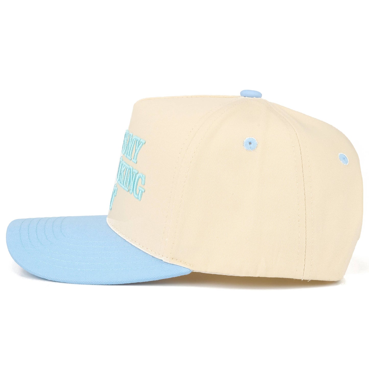 THIS IS MY DOG WALKING HAT - Two Tone Trucker Hat