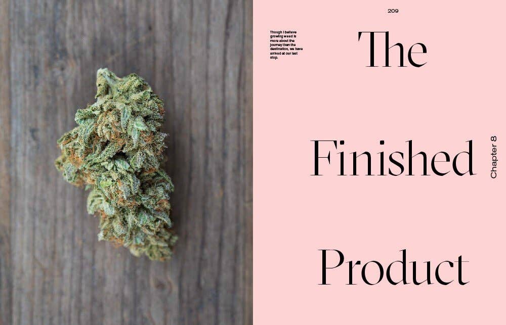 Growing Weed in the Garden: A No-Fuss, Seed-to-Stash Guide Book