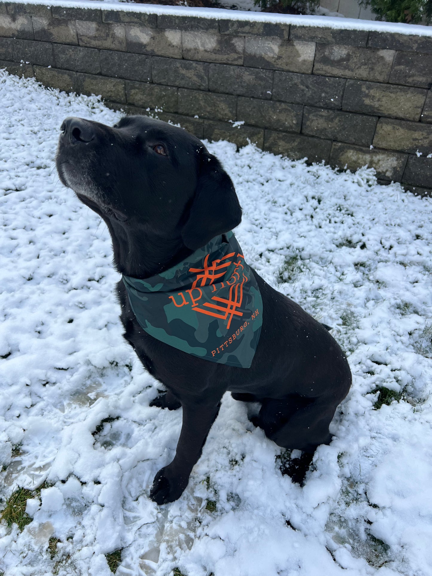 Dog Bandana, Up North Camo